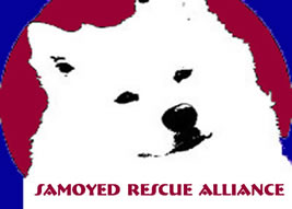 Samoyed Rescue Alliance Welcomes You